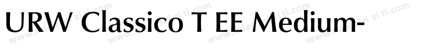 URW Classico T EE Medium字体转换